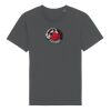 Rocker the essential unisex t-shirt (STTU758) Thumbnail