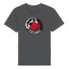 Rocker the essential unisex t-shirt (STTU758) Thumbnail