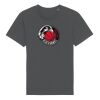 Rocker the essential unisex t-shirt (STTU758) Thumbnail