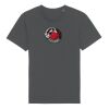Rocker the essential unisex t-shirt (STTU758) Thumbnail